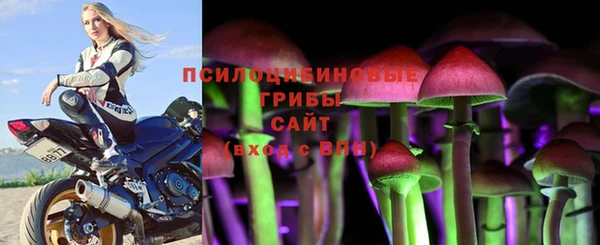 альфа пвп Горняк
