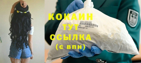 гашик Гусь-Хрустальный