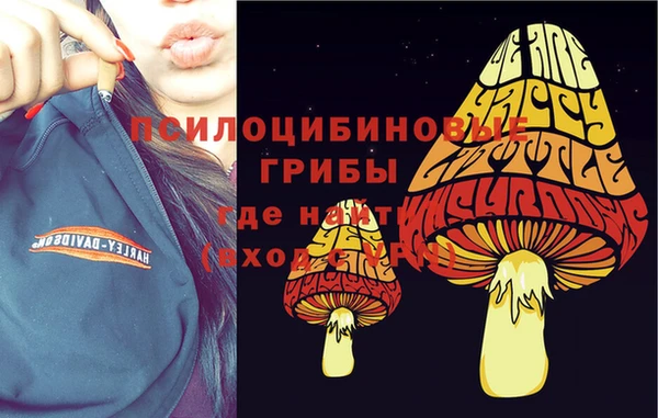 амфетамин Гусев