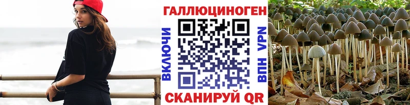 Псилоцибиновые грибы Cubensis  Зарайск 